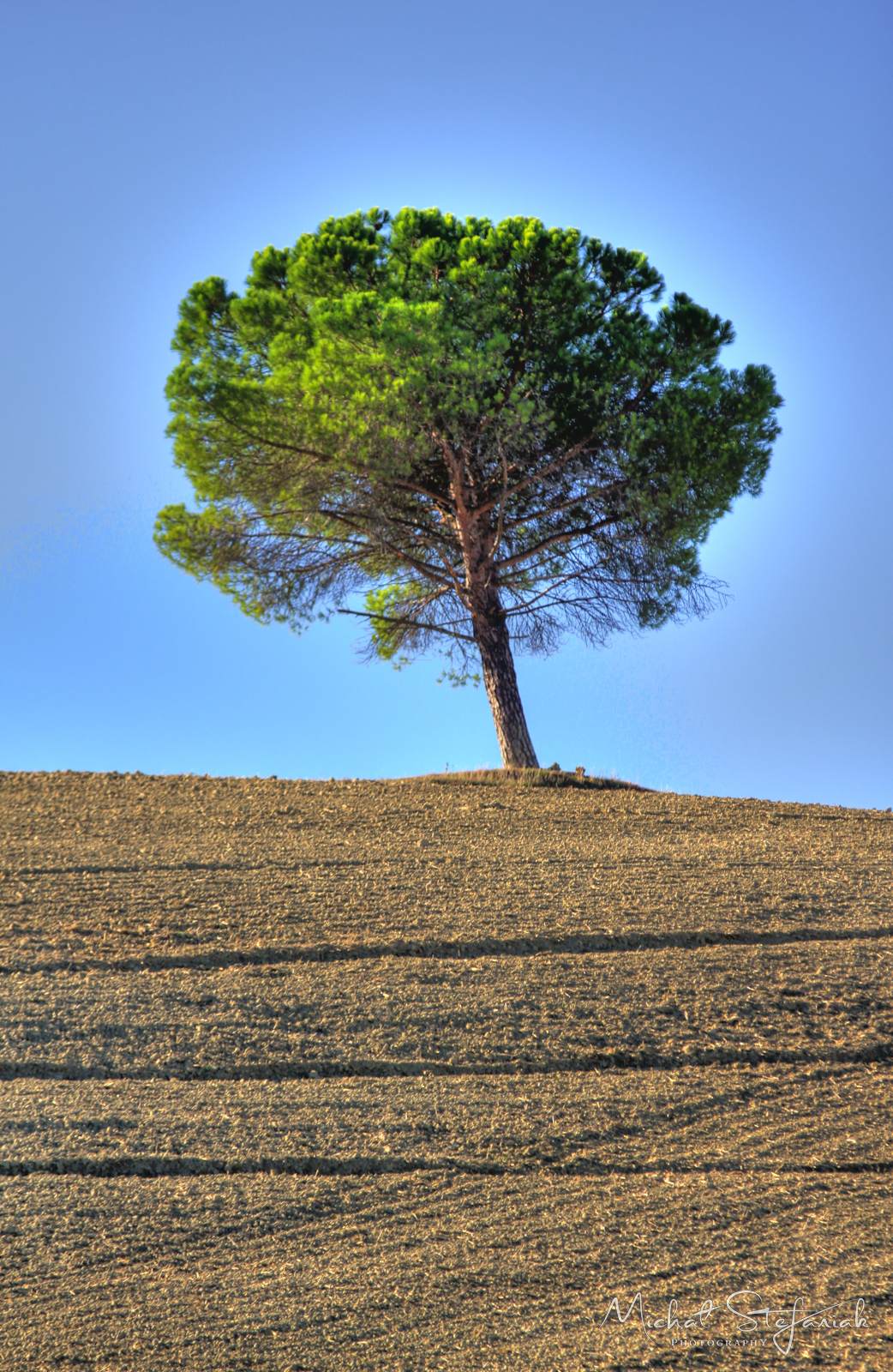 IMG 5110 IMG 5091 2 3Enhancer